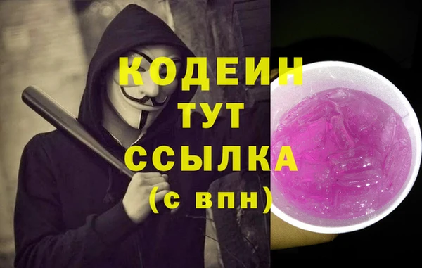 шишки Белокуриха