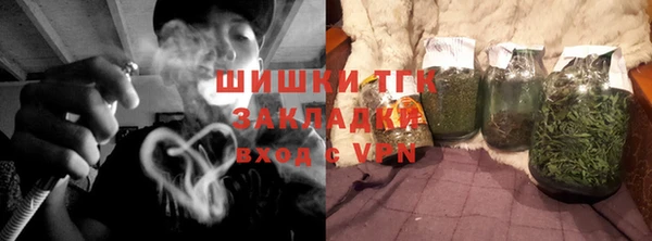 шишки Белокуриха