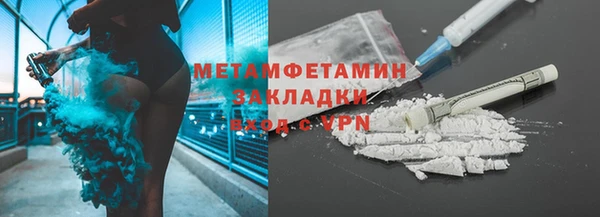 шишки Белокуриха