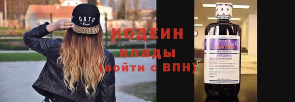 шишки Белокуриха
