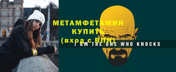 шишки Белокуриха
