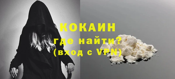 шишки Белокуриха