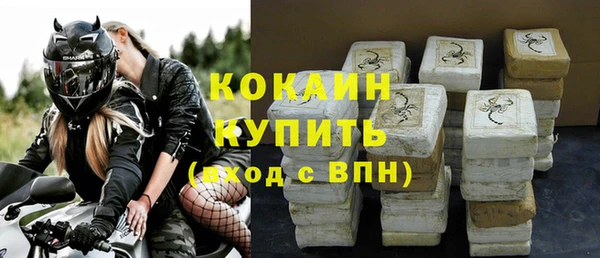 шишки Белокуриха
