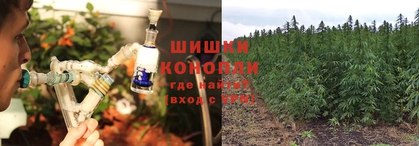 шишки Белокуриха