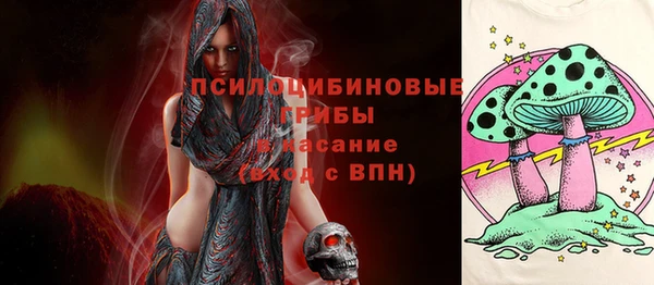 спайс Беломорск