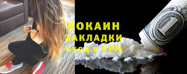 шишки Белокуриха